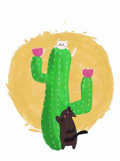 黑市纵横《暗网禁地入口》情报交换风险提示  第2张 黑市纵横《暗网禁地入口》情报交换风险提示  第2张